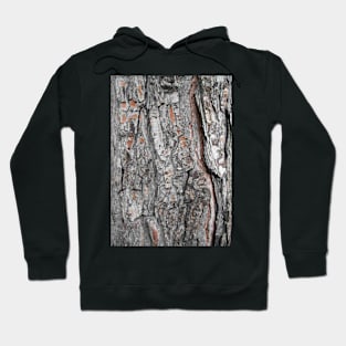 bark pine texture Hoodie